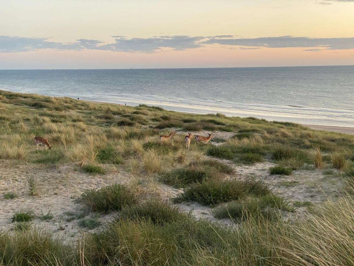 Appartement Zwarte Vis Zandvoort